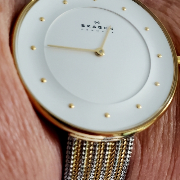 Skagen Denmark Two Toned Silvertone and Goldtone Large White Faced Watch main image 7
